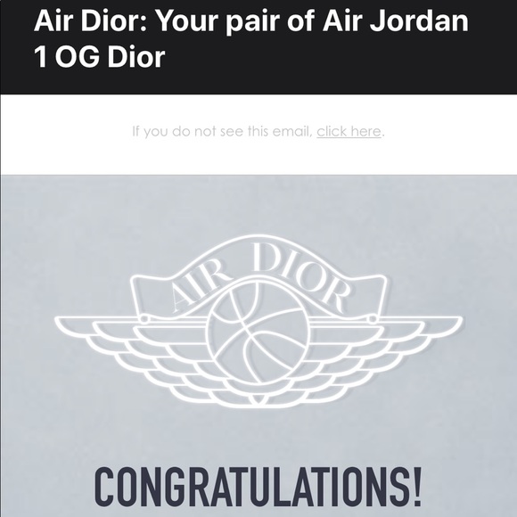 Air Dior Jordan 1s - Picture 8 of 10